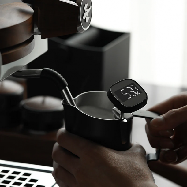 Portable LCD Digital Thermometer