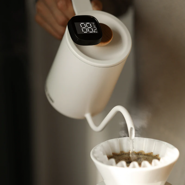 Portable LCD Digital Thermometer