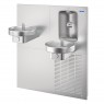 Bottle Filler and Dual Drinking Fountain