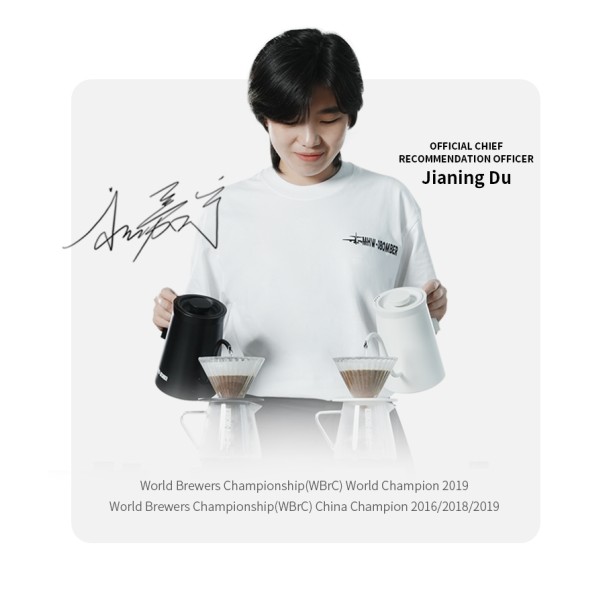 Assassin Gooseneck Electric Kettle