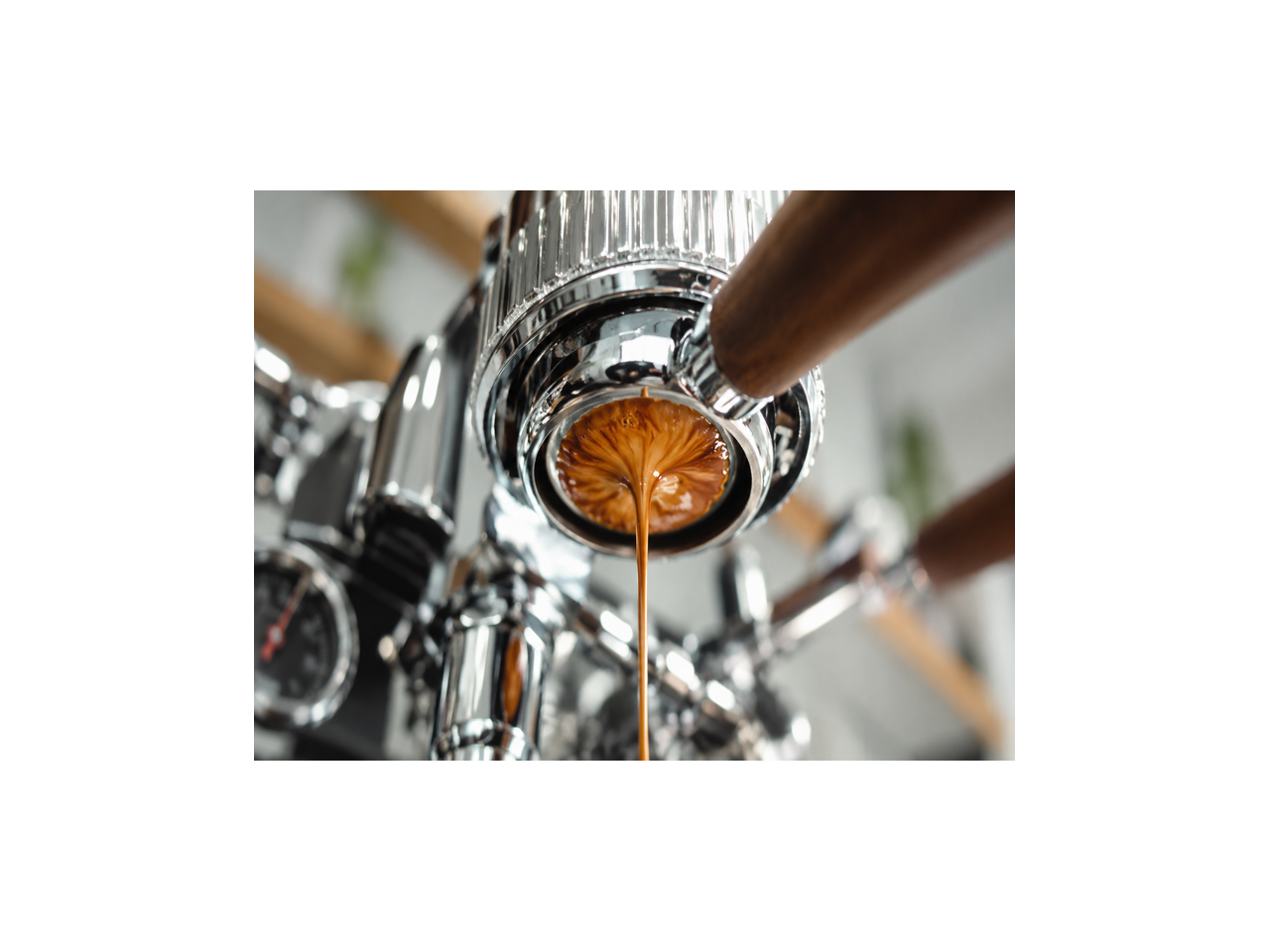 Brewing the Perfect Shot 